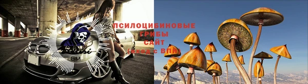 каннабис Заволжск